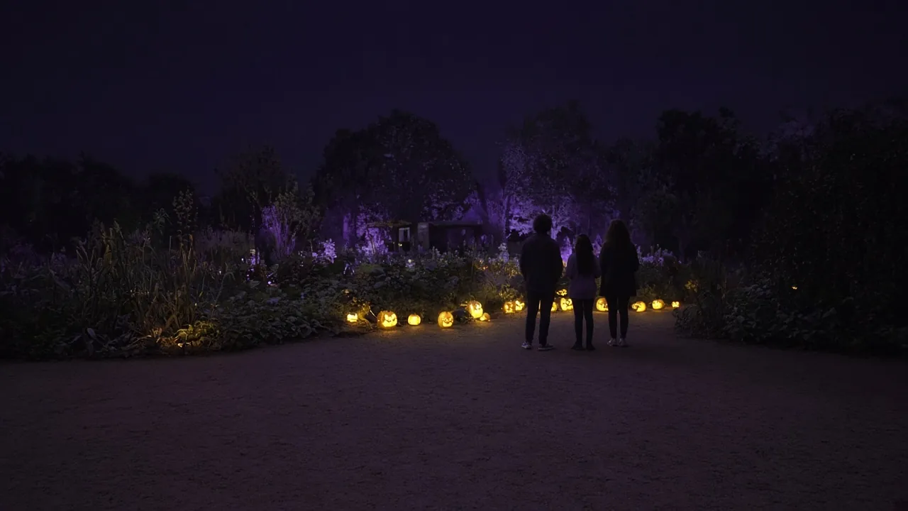 The Great Pumpkin Glow