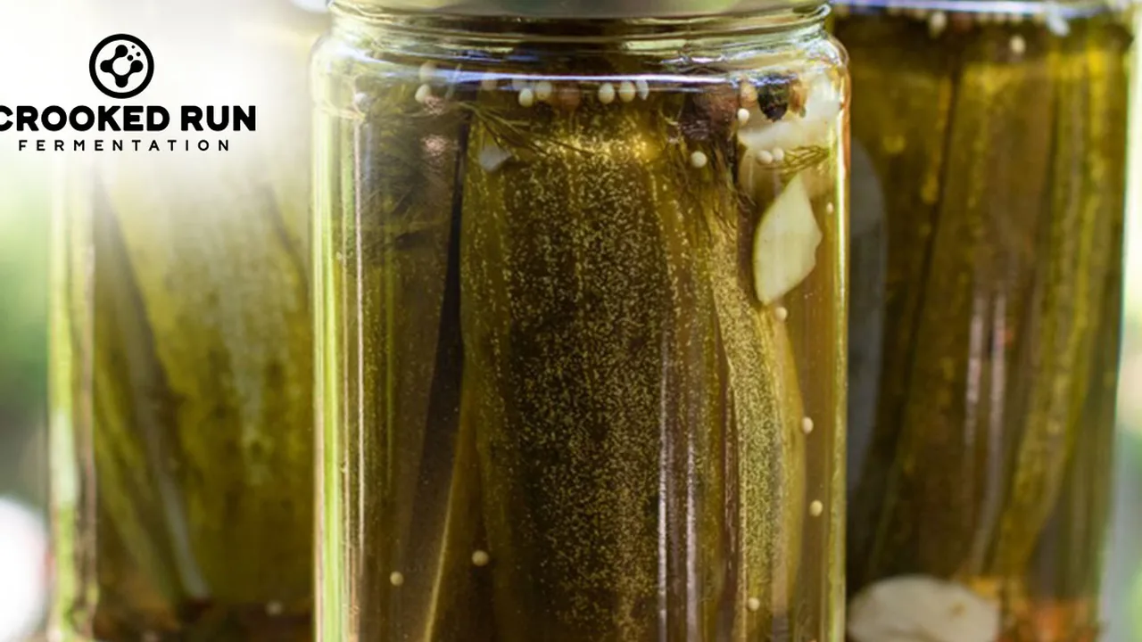 Fall Pickle & International Food Festival